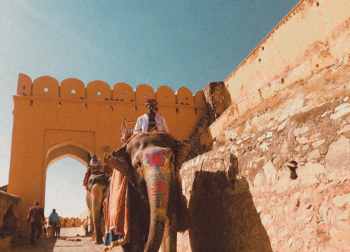 Pink City Tour: Discover Jaipur’s Charm